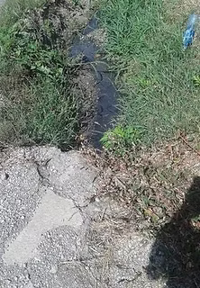 Prve prijave ekoloških problema